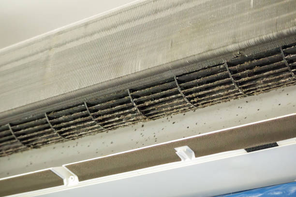 Best Air Duct Cleaning Near Me  in Starke, FL